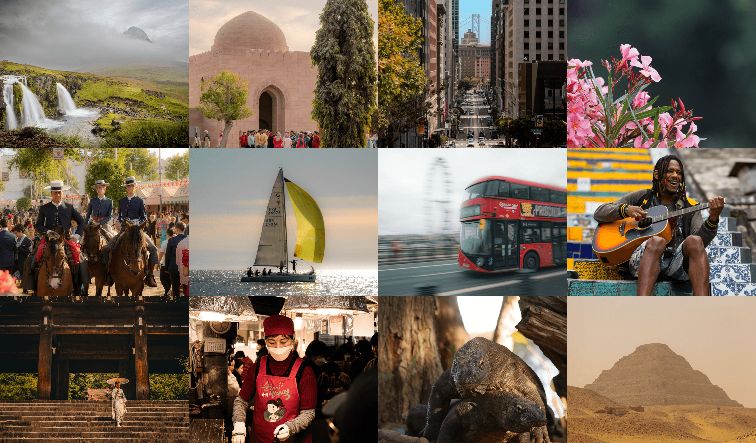 Portfolio background